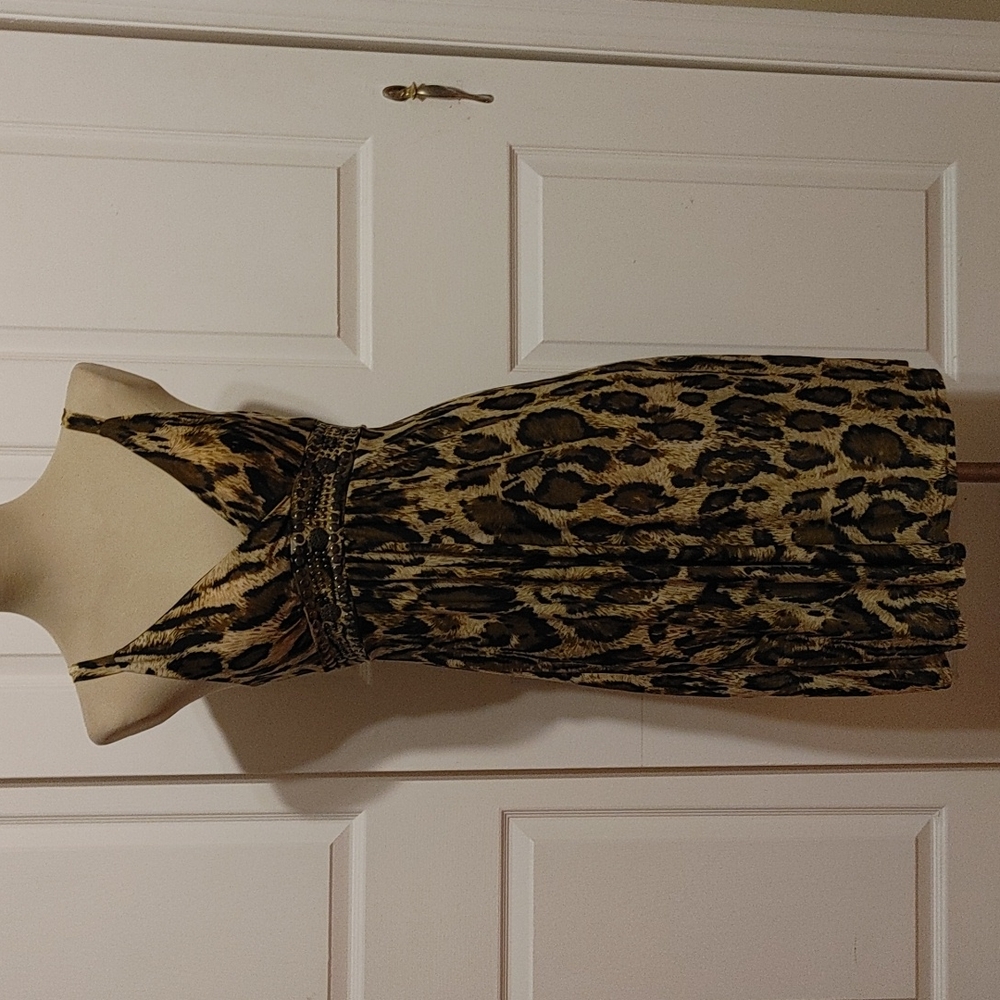 🐯 NWOT Shoreline Dress